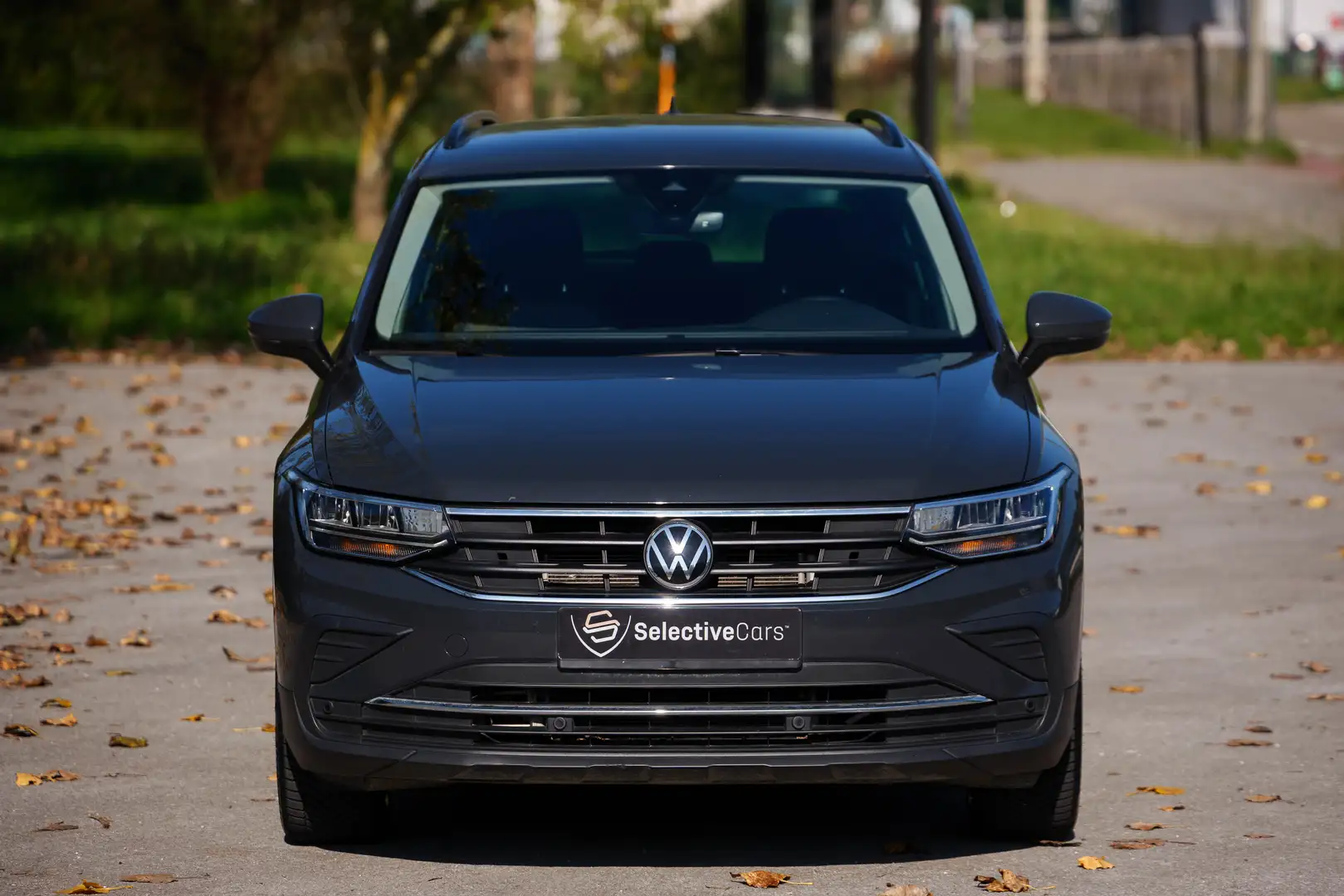 Volkswagen Tiguan 2.0TDI Life 110kW Gris - 2