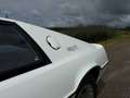 Lotus Esprit Esprit Weiß - thumbnail 28