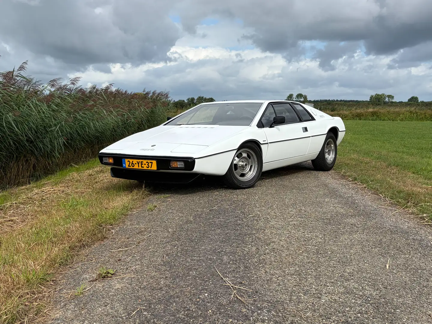 Lotus Esprit Esprit Weiß - 1