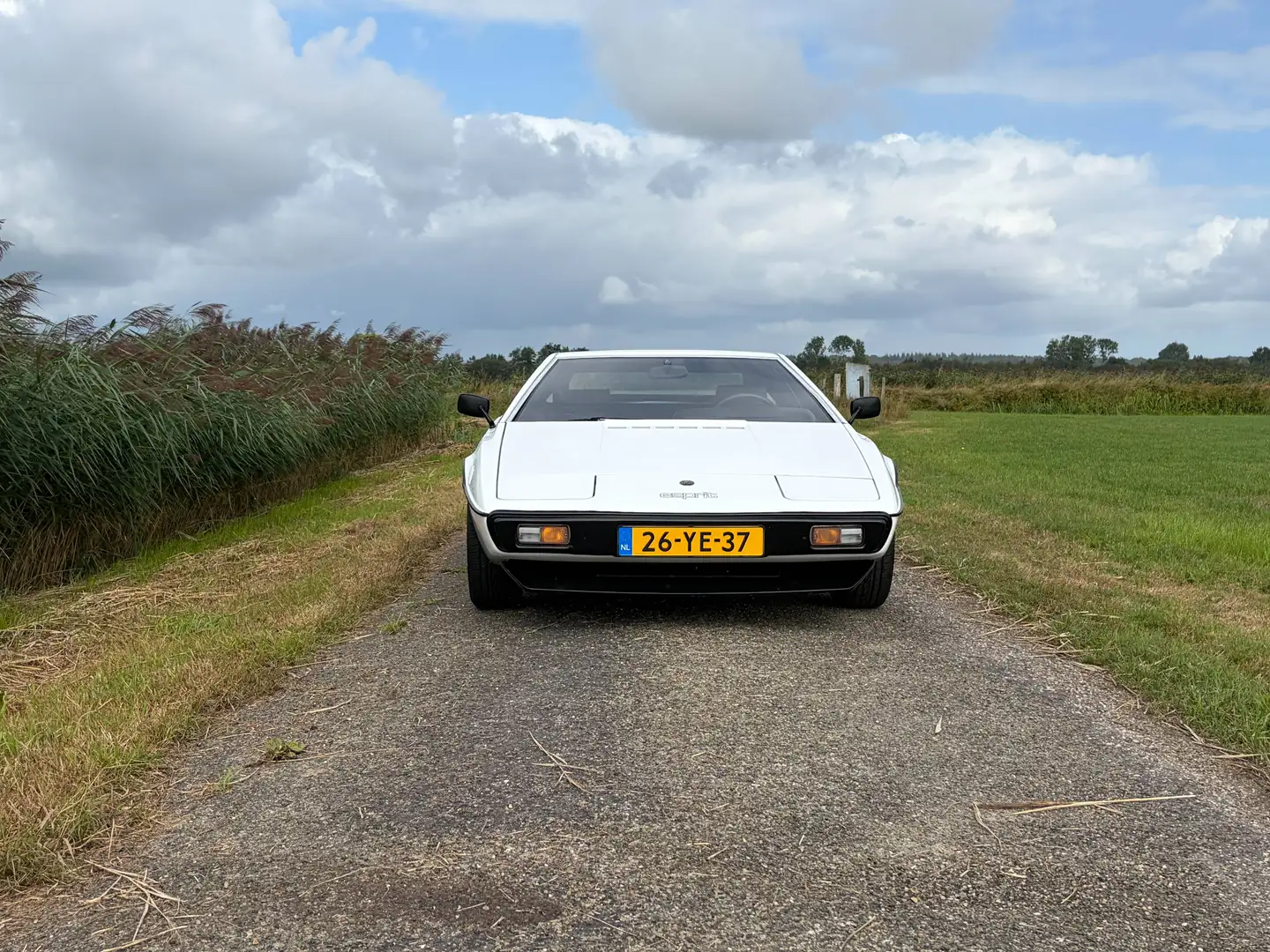 Lotus Esprit Esprit Weiß - 2