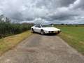 Lotus Esprit Esprit Weiß - thumbnail 27