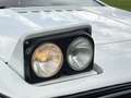 Lotus Esprit Esprit Weiß - thumbnail 26
