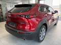 Mazda CX-30 CX-30 G122 Comfort+/SO/ST/PR/TE Rot - thumbnail 3