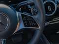 Mercedes-Benz B 250 4M Progressive/LED/Cam/AHK/Winter/SHZ/17' Weiß - thumbnail 14