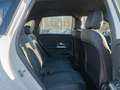 Mercedes-Benz B 250 4M Progressive/LED/Cam/AHK/Winter/SHZ/17' Weiß - thumbnail 9
