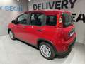 Fiat Panda 3ª serie 1.0 FireFly S&S Hybrid Rood - thumbnail 5