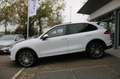 Porsche Cayenne 3.0 S E-Hybrid DEALER OND. PANO-DAK NAP! Wit - thumbnail 4