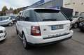 Land Rover Range Rover Sport V6 TD S/Automatik Bianco - thumbnail 6