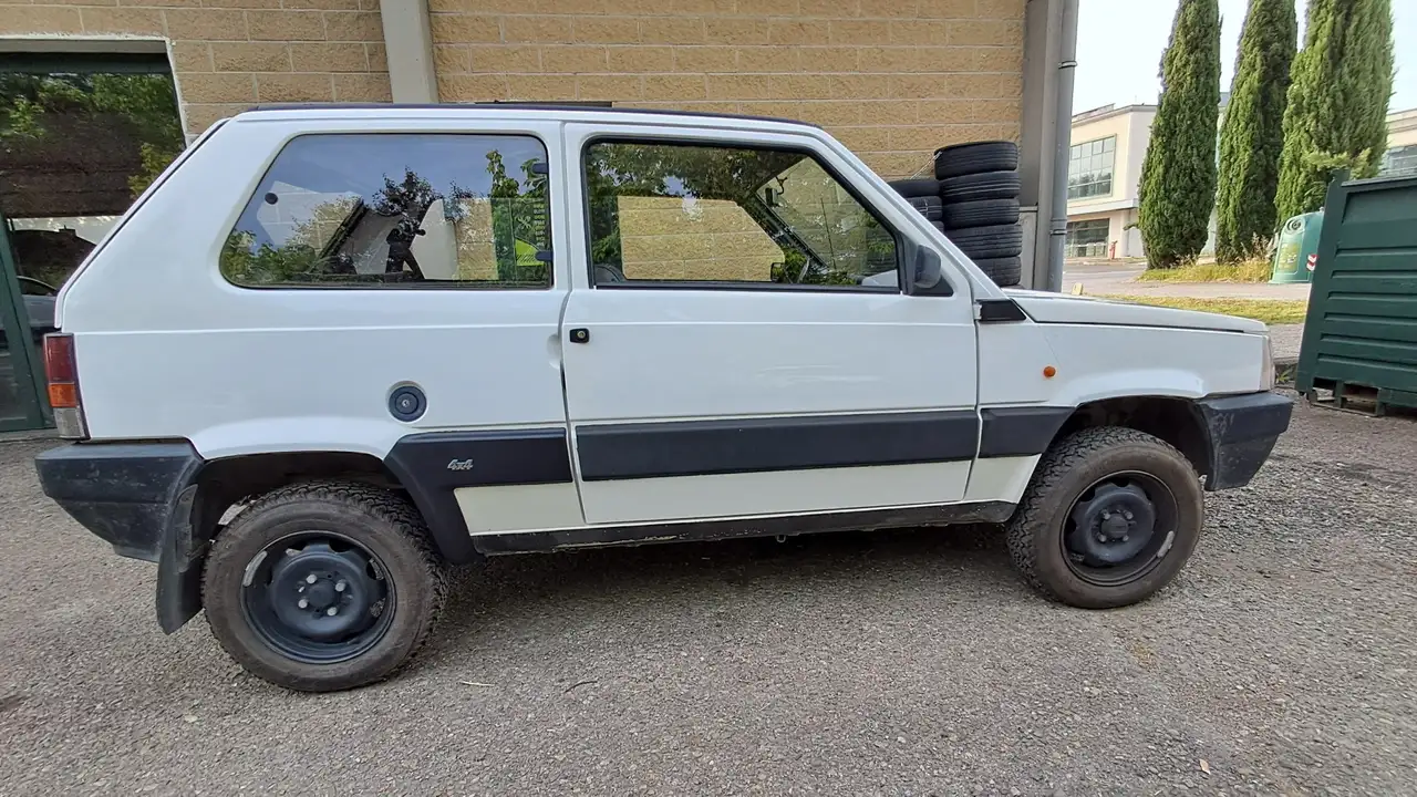 Fiat Panda 1.0 4x4 my86, foto 8