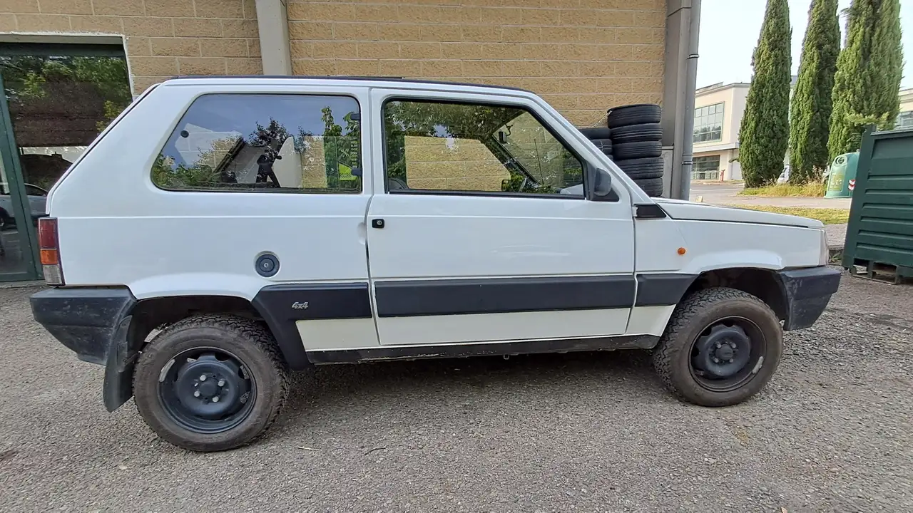 Fiat Panda 1.0 4x4 my86, foto 7