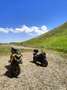 Benelli TRK 502 Trk502 x Galben - thumbnail 15