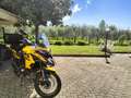 Benelli TRK 502 Trk502 x Galben - thumbnail 11