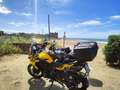Benelli TRK 502 Trk502 x Galben - thumbnail 3