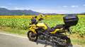 Benelli TRK 502 Trk502 x Galben - thumbnail 6