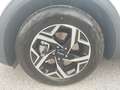 Kia Sportage Sportage 1.6 CRDi MHEV Business Beige - thumbnail 20