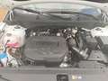 Kia Sportage Sportage 1.6 CRDi MHEV Business Beige - thumbnail 16