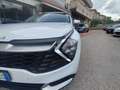 Kia Sportage Sportage 1.6 CRDi MHEV Business Beige - thumbnail 9