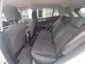Kia Sportage Sportage 1.6 CRDi MHEV Business Beige - thumbnail 15