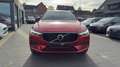 Volvo XC60 XC60 Momentum Roşu - thumbnail 2