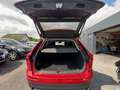 Volvo XC60 XC60 Momentum Rot - thumbnail 14