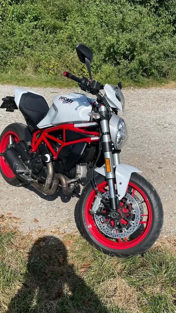 Ducati Monster 797 797+ Weiß - 1