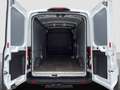 Ford Transit 2.0 TDCi  350 L3H2 Trend RWD AHK/360°Kamera/Assis Weiß - thumbnail 18