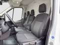 Ford Transit 2.0 TDCi  350 L3H2 Trend RWD AHK/360°Kamera/Assis Weiß - thumbnail 12