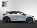 Renault Clio NEUER RENAULT CLIO Techno TCe 115 Weiß - thumbnail 15