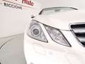 Mercedes-Benz E 220 Classe E cdi be Avantgarde BIXENO TEL NAVI PELLE Wit - thumbnail 42