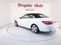 Mercedes-Benz E 220 Classe E cdi be Avantgarde BIXENO TEL NAVI PELLE Wit - thumbnail 12