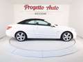 Mercedes-Benz E 220 Classe E cdi be Avantgarde BIXENO TEL NAVI PELLE Wit - thumbnail 14