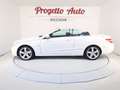 Mercedes-Benz E 220 Classe E cdi be Avantgarde BIXENO TEL NAVI PELLE Wit - thumbnail 15