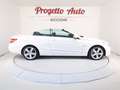 Mercedes-Benz E 220 Classe E cdi be Avantgarde BIXENO TEL NAVI PELLE Wit - thumbnail 13