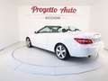Mercedes-Benz E 220 Classe E cdi be Avantgarde BIXENO TEL NAVI PELLE Wit - thumbnail 11