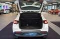 Mercedes-Benz EQA 250 EQA 250 Progressive Leder CarPlay Kamera Totwink Weiß - thumbnail 3