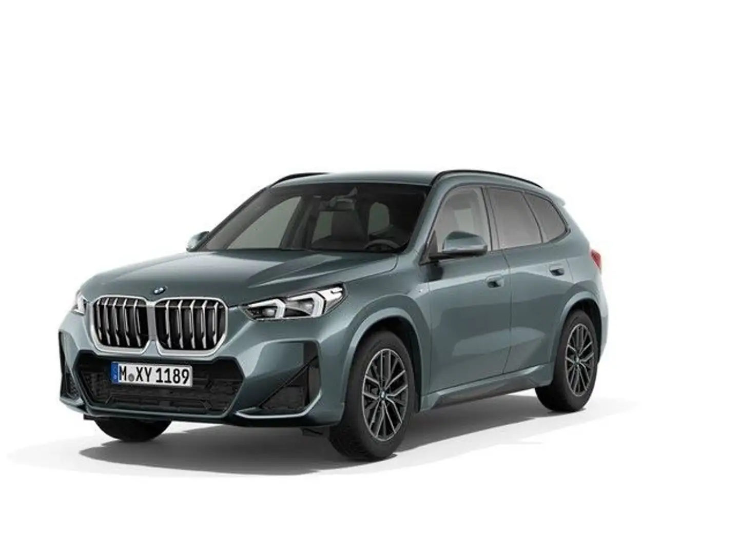 BMW X1 sDrive20i Steptronic M Sportpaket AHK Grün - 1