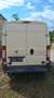 Fiat Ducato 250 DCMFC Beige - thumbnail 6