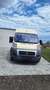 Fiat Ducato 250 DCMFC Beige - thumbnail 1