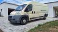 Fiat Ducato 250 DCMFC Beige - thumbnail 2