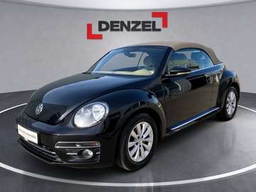 Beetle