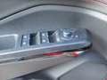 Ford Puma 1,0 EcoBoost Hybrid ST-Line X Aut. Rot - thumbnail 13