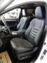 Lexus RX 450h AWD *F-SPORT *TOP AUSSTATTUNG *GARANTIE Weiß - thumbnail 24