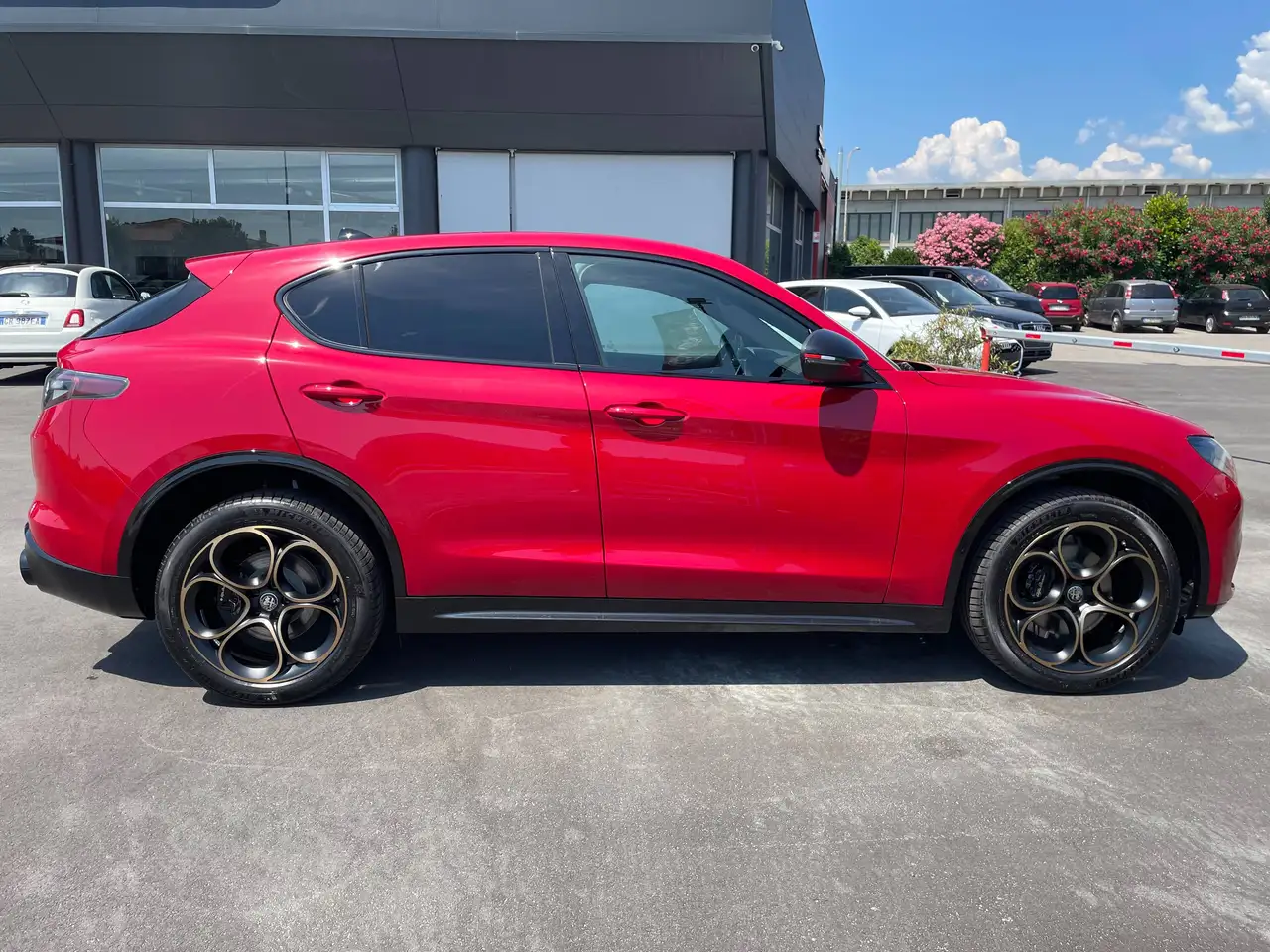 Alfa Romeo Stelvio 2026 — фото 8