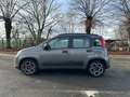 Fiat Panda 1.0 FireFly 70cv S&S Hybrid City Life Grey - thumbnail 2