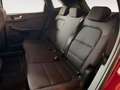 Ford Kuga ST-Line Rot - thumbnail 9