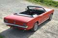 Ford Mustang 289 Cabrio Rood - thumbnail 3