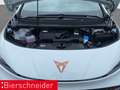 CUPRA Born 77 kWh WÄPU PILOT M CAM Weiß - thumbnail 22