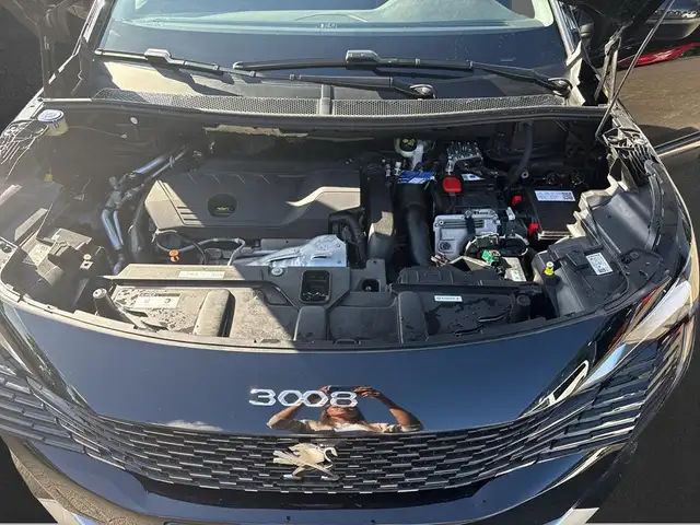 Peugeot 3008 view 5