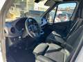 Mercedes-Benz Sprinter 316 CDI 3,5t / 4.325 mm Weiß - thumbnail 20