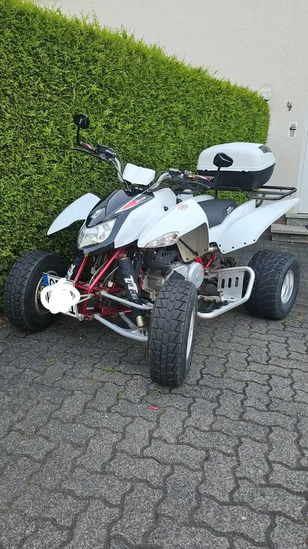 Triton Baja 300 Bílá - 2